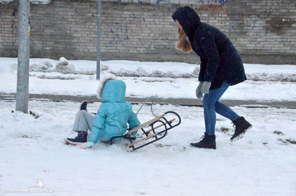 Tu we Włocławku zjeżdża się na sankach