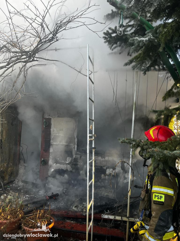Pożar na terenie ROD przy Kapitulnej
