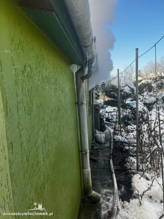 Pożar na terenie ROD przy Kapitulnej