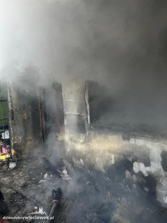 Pożar na terenie ROD przy Kapitulnej