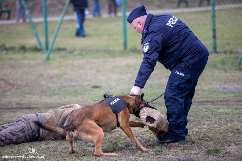 Specjalne auta do przewozu psów dla policji