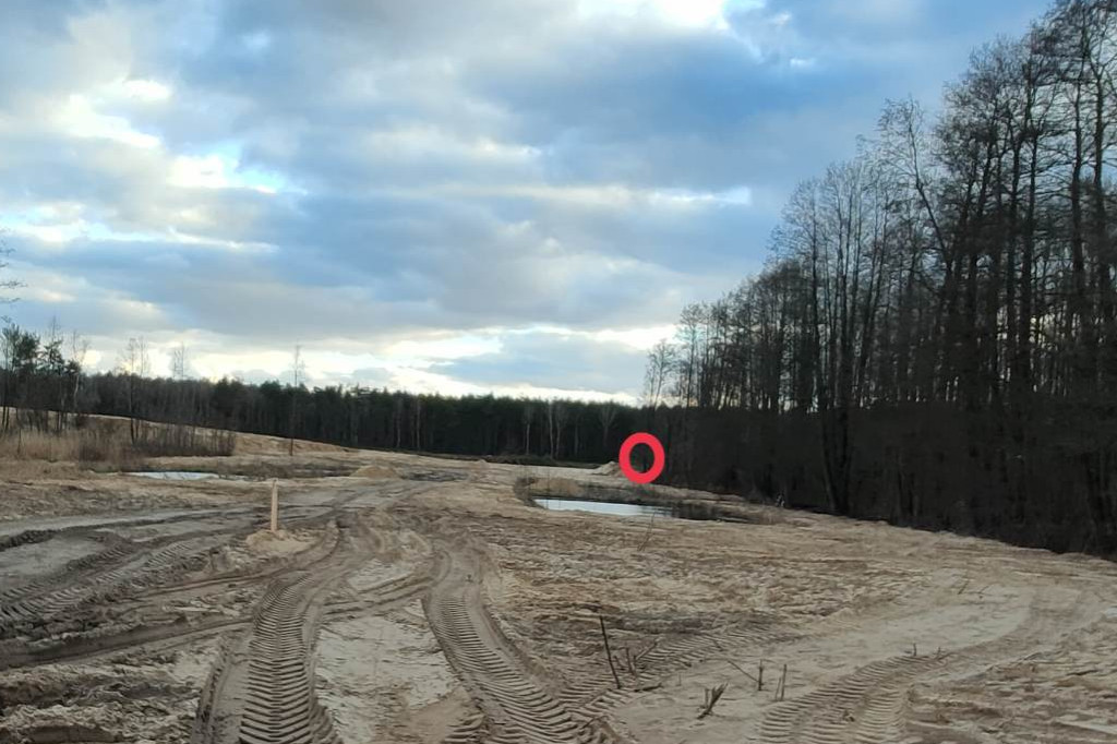 Makabryczne odkrycie pod Włocławkiem [DRASTYCZNE]