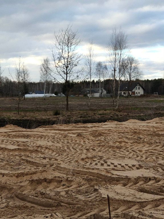 Makabryczne odkrycie pod Włocławkiem [DRASTYCZNE]