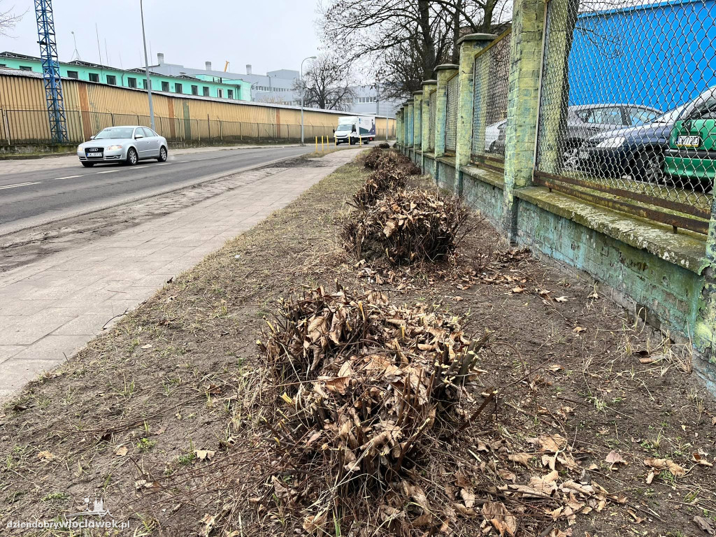 Na Łęgskiej będzie mniej zielono