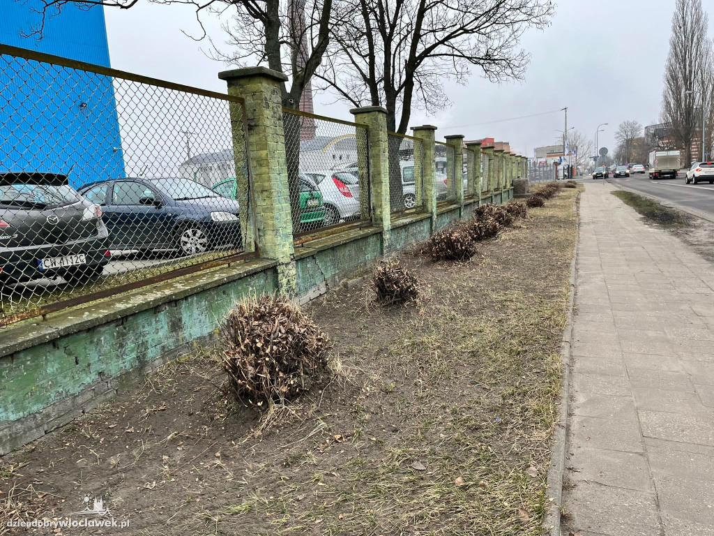 Na Łęgskiej będzie mniej zielono