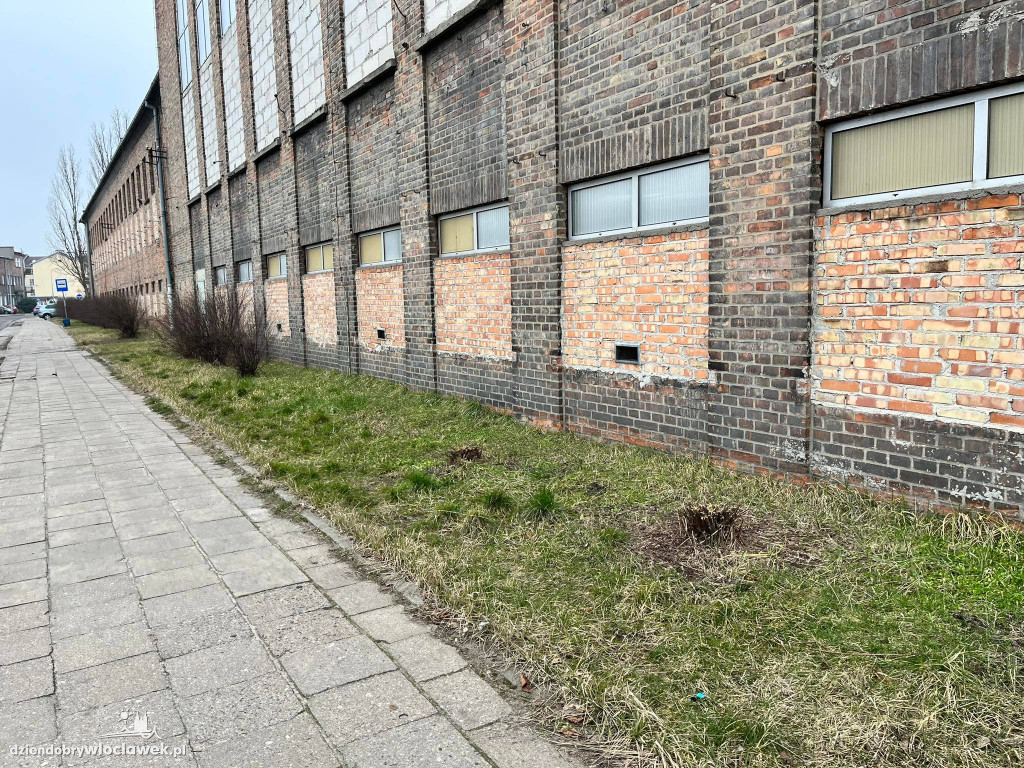 Na Łęgskiej będzie mniej zielono