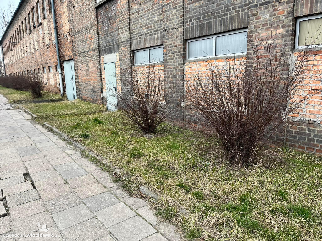 Na Łęgskiej będzie mniej zielono