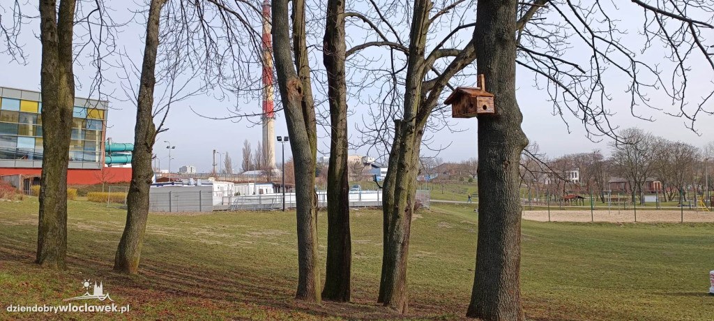 Nowość w Parku na Słodowie. Na drzewach zawisły...