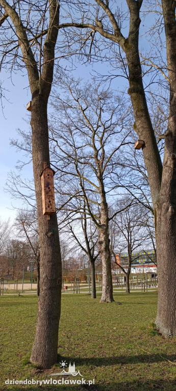 Nowość w Parku na Słodowie. Na drzewach zawisły...