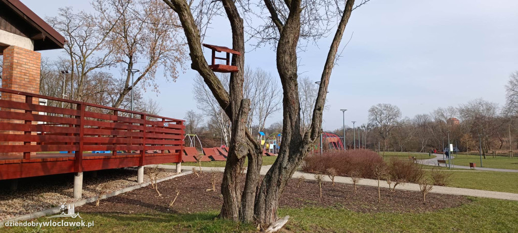 Nowość w Parku na Słodowie. Na drzewach zawisły...