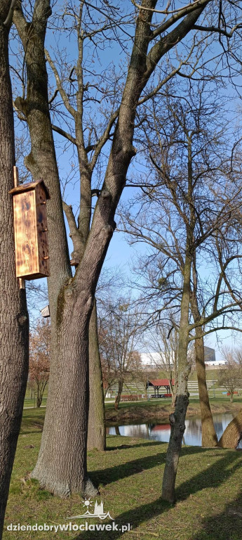 Nowość w Parku na Słodowie. Na drzewach zawisły...