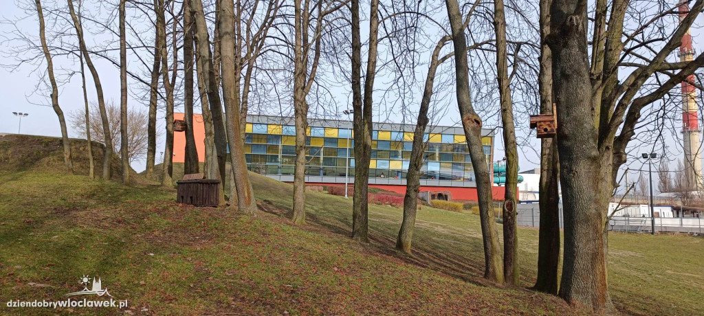 Nowość w Parku na Słodowie. Na drzewach zawisły...