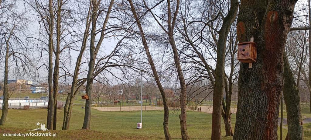 Nowość w Parku na Słodowie. Na drzewach zawisły...