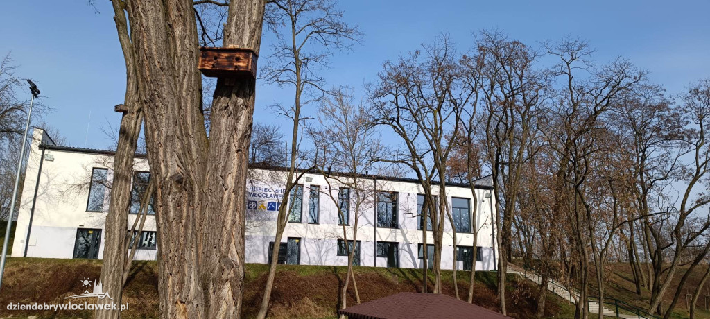 Nowość w Parku na Słodowie. Na drzewach zawisły...