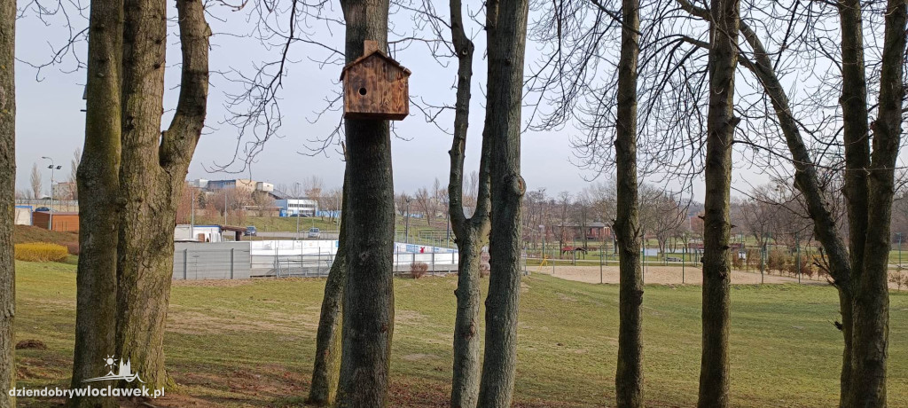 Nowość w Parku na Słodowie. Na drzewach zawisły...