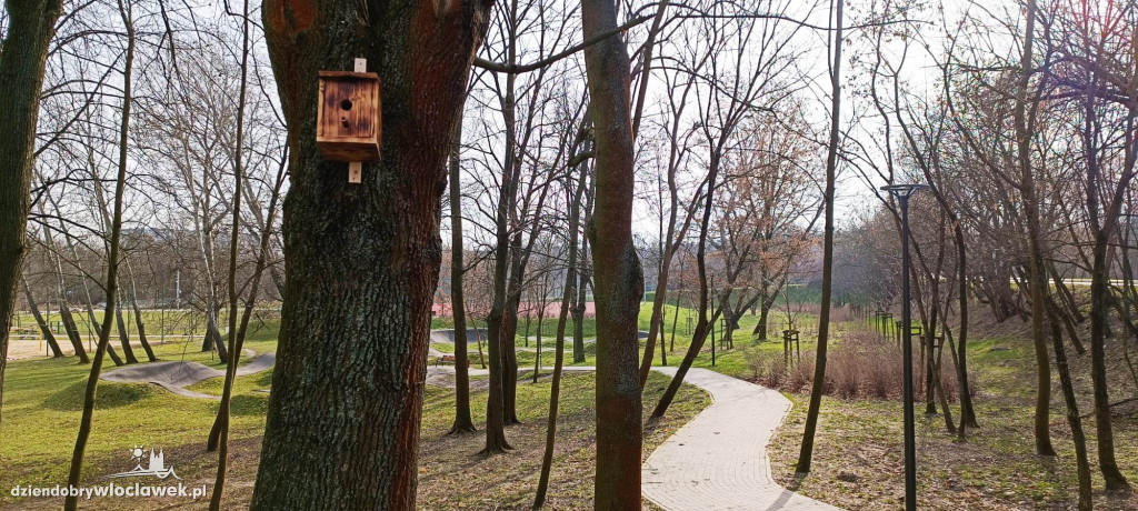 Nowość w Parku na Słodowie. Na drzewach zawisły...