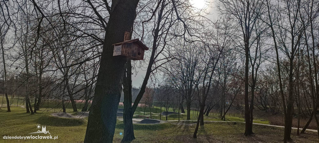 Nowość w Parku na Słodowie. Na drzewach zawisły...