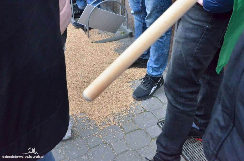 Protest Agrounii przed biurem Gembickiej
