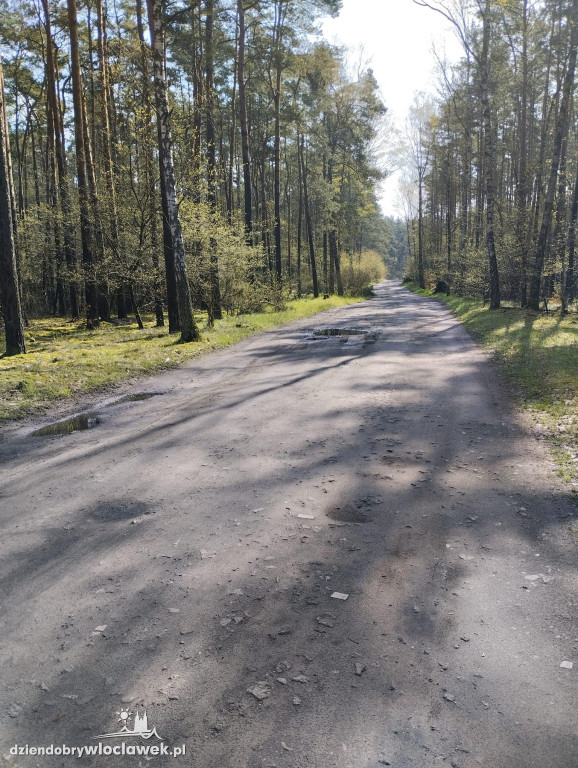 Tak wygląda droga do Wójtowskiego
