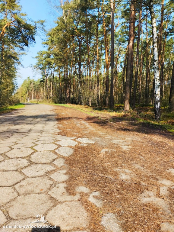 Tak wygląda droga do Wójtowskiego