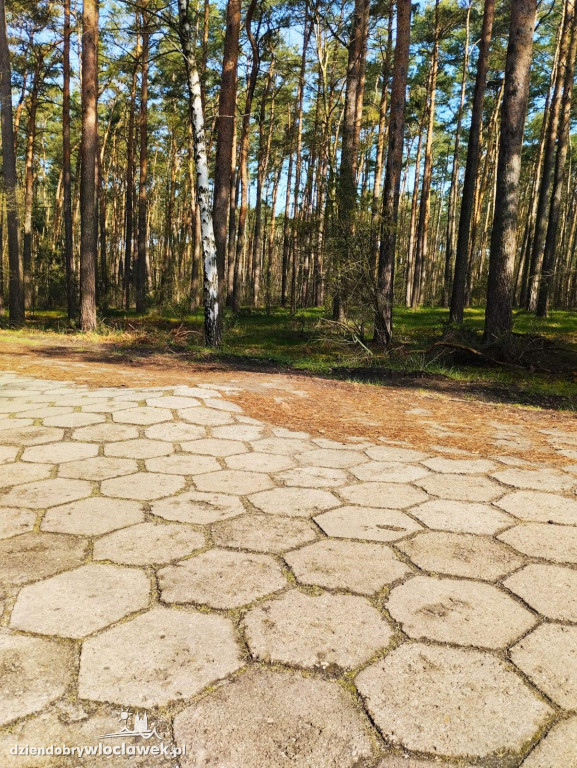 Tak wygląda droga do Wójtowskiego