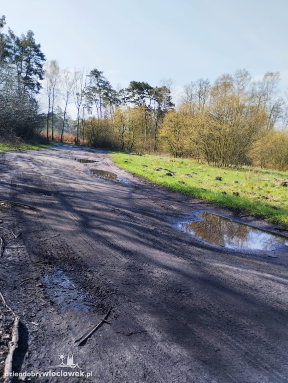 Tak wygląda droga do Wójtowskiego