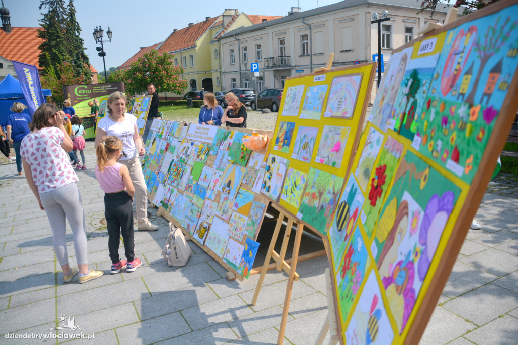 Dzień Pszczoły na Starym Rynku