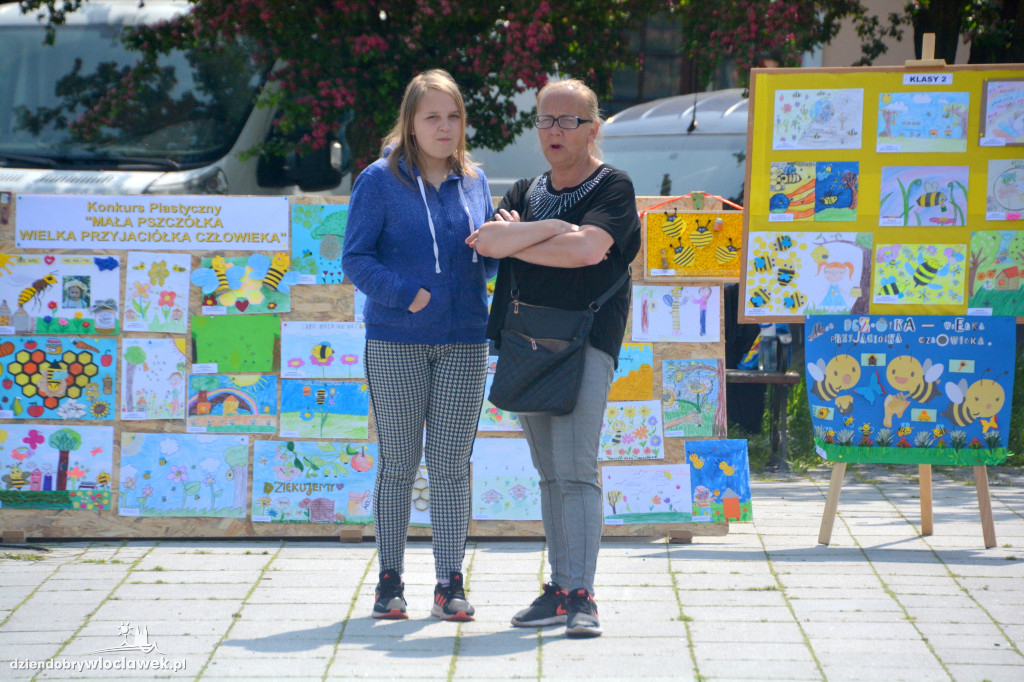 Dzień Pszczoły na Starym Rynku