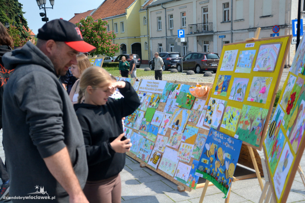 Dzień Pszczoły na Starym Rynku