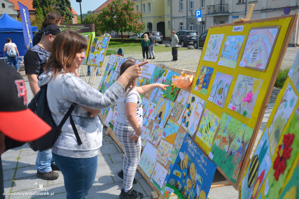 Dzień Pszczoły na Starym Rynku