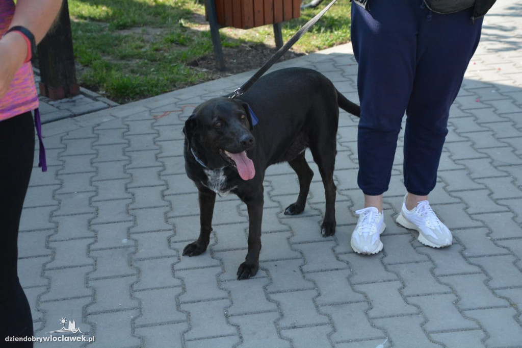 4. urodziny parkrunu Słodowo