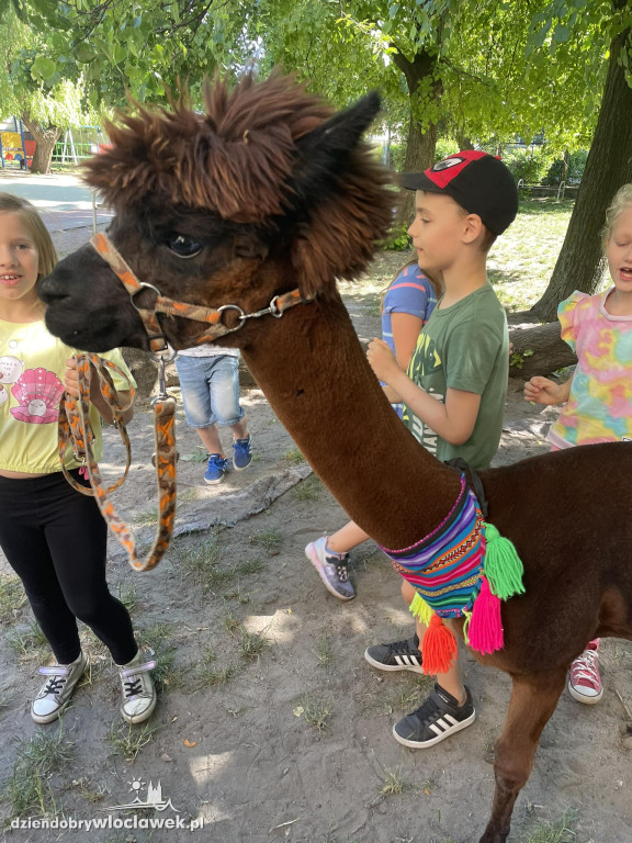 Dzień Dziecka w Przedszkolu nr 17