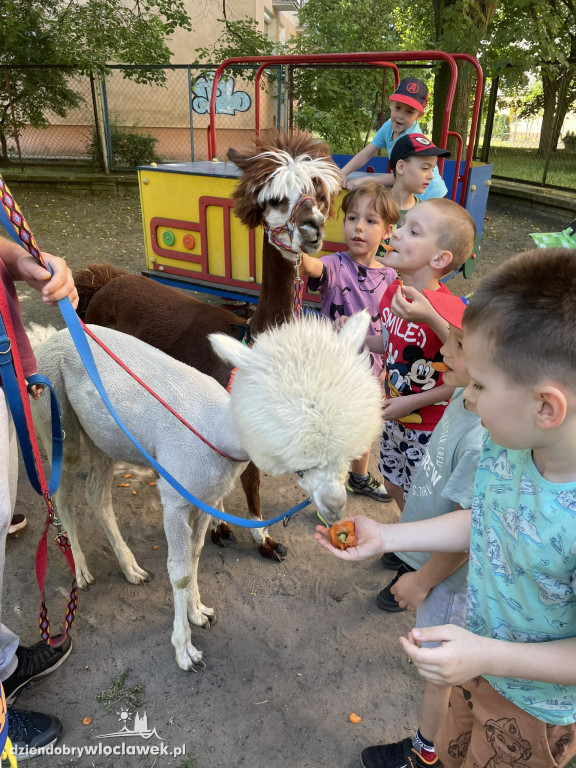 Dzień Dziecka w Przedszkolu nr 17
