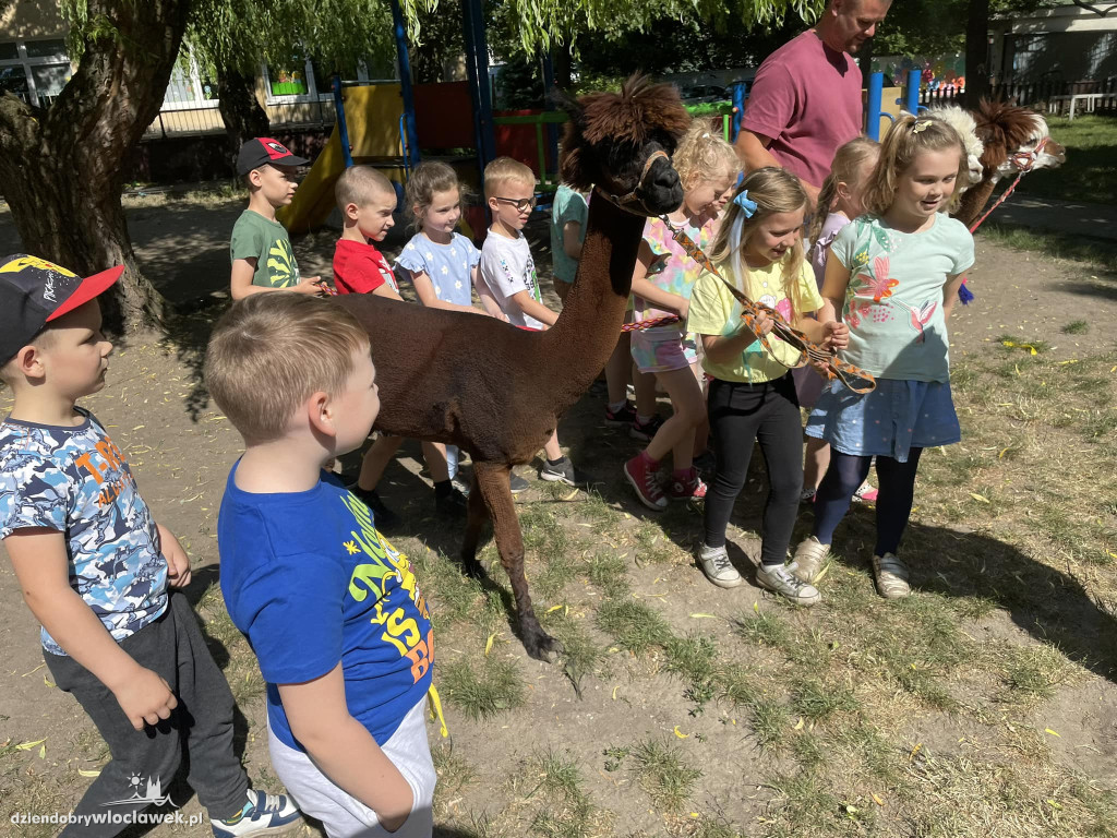 Dzień Dziecka w Przedszkolu nr 17