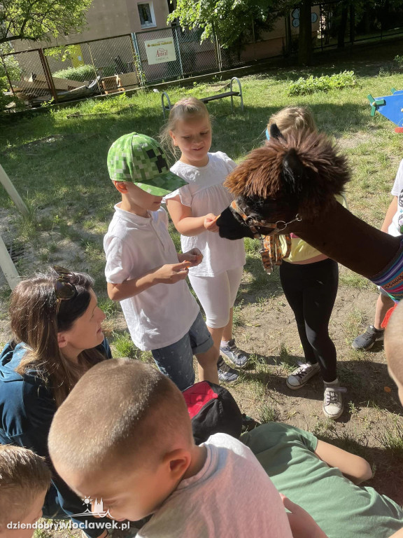 Dzień Dziecka w Przedszkolu nr 17