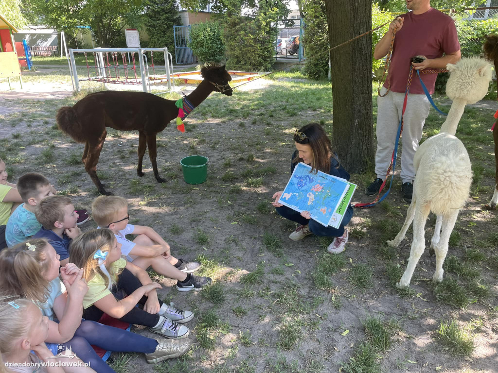 Dzień Dziecka w Przedszkolu nr 17