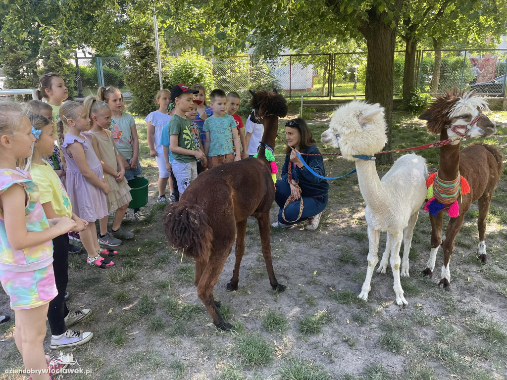 Dzień Dziecka w Przedszkolu nr 17