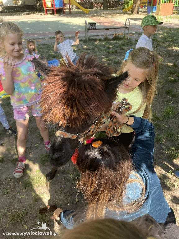 Dzień Dziecka w Przedszkolu nr 17
