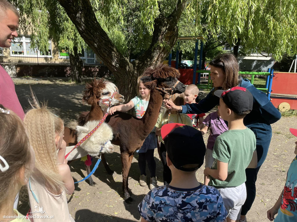 Dzień Dziecka w Przedszkolu nr 17