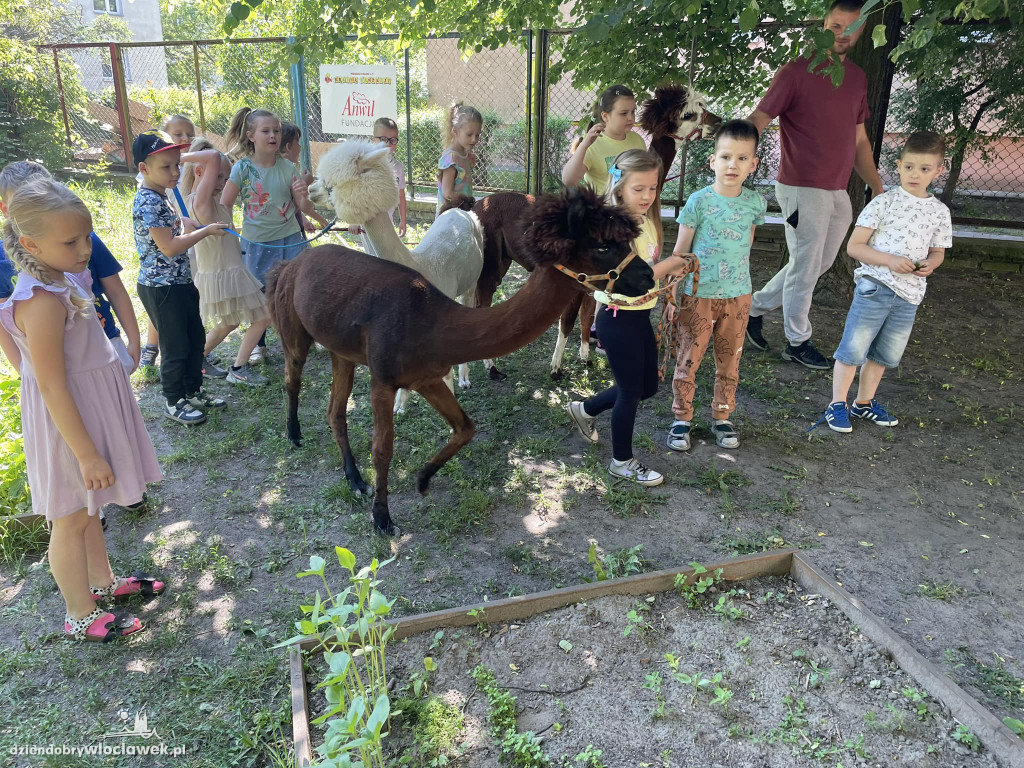 Dzień Dziecka w Przedszkolu nr 17