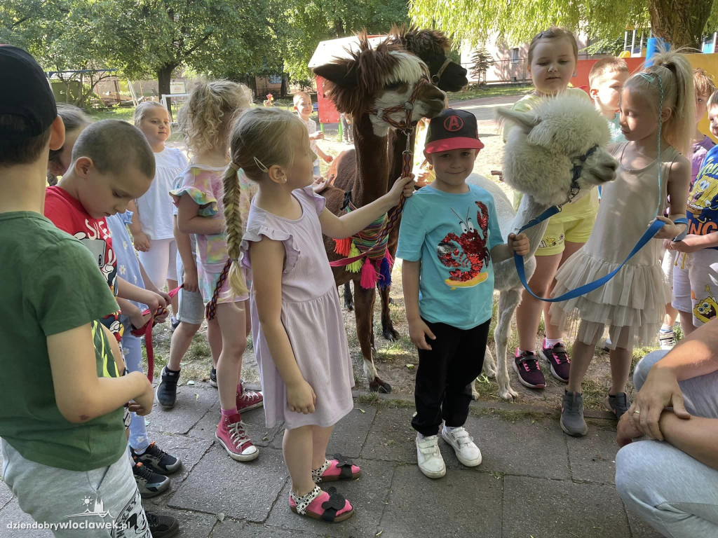 Dzień Dziecka w Przedszkolu nr 17