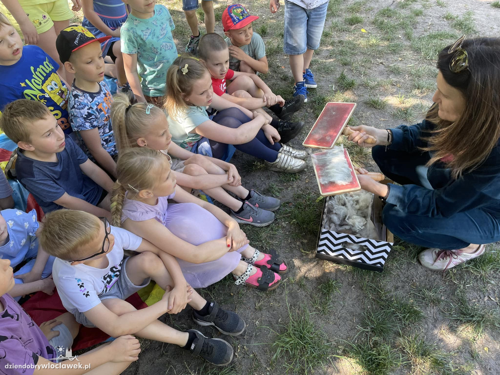 Dzień Dziecka w Przedszkolu nr 17