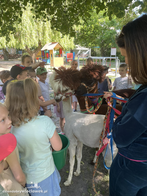 Dzień Dziecka w Przedszkolu nr 17