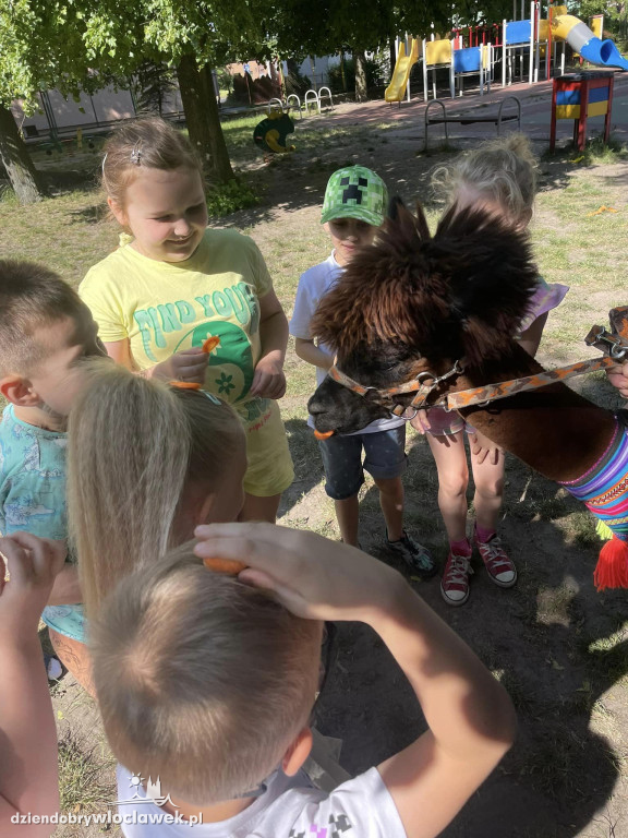 Dzień Dziecka w Przedszkolu nr 17