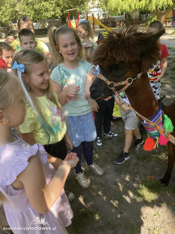 Dzień Dziecka w Przedszkolu nr 17