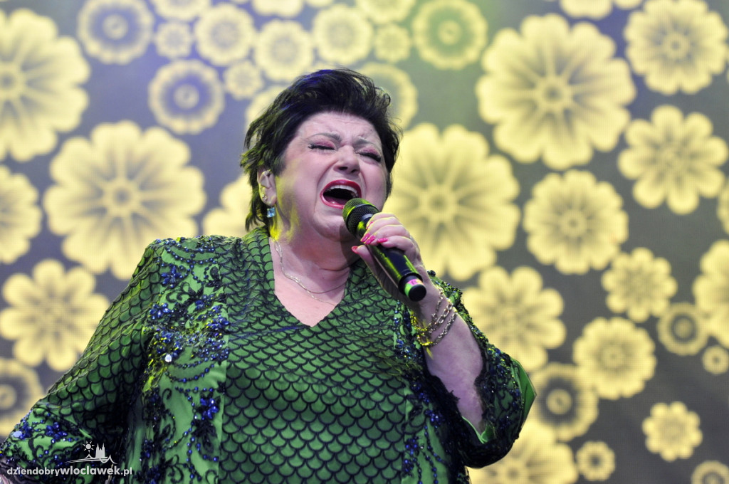 Gwiazdy podczas Święta Województwa