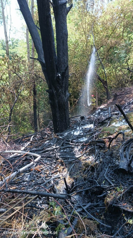 Pożar na działkach w Zarzeczewie