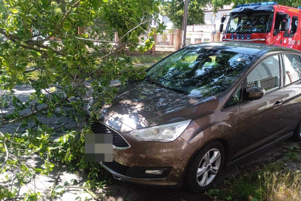 Drzewo przewróciło się na cztery samochody