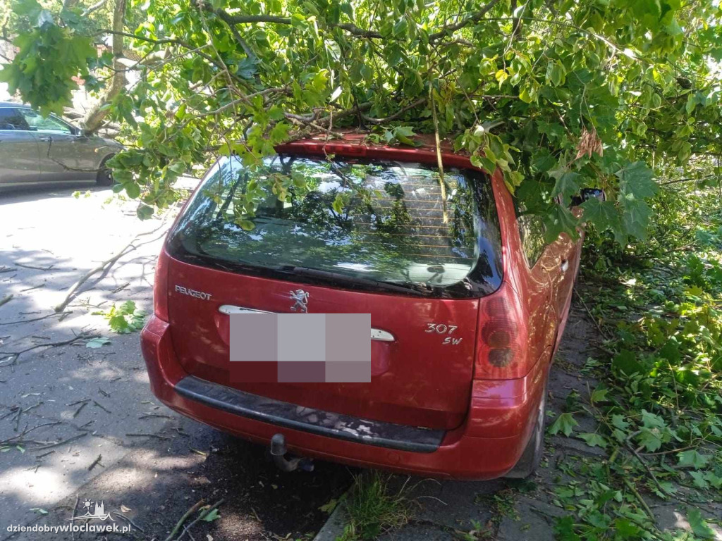 Drzewo przewróciło się na cztery samochody