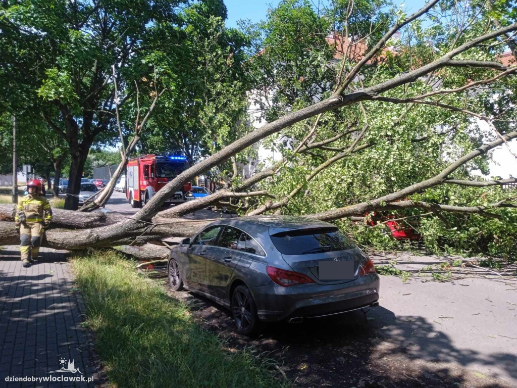 Drzewo przewróciło się na cztery samochody
